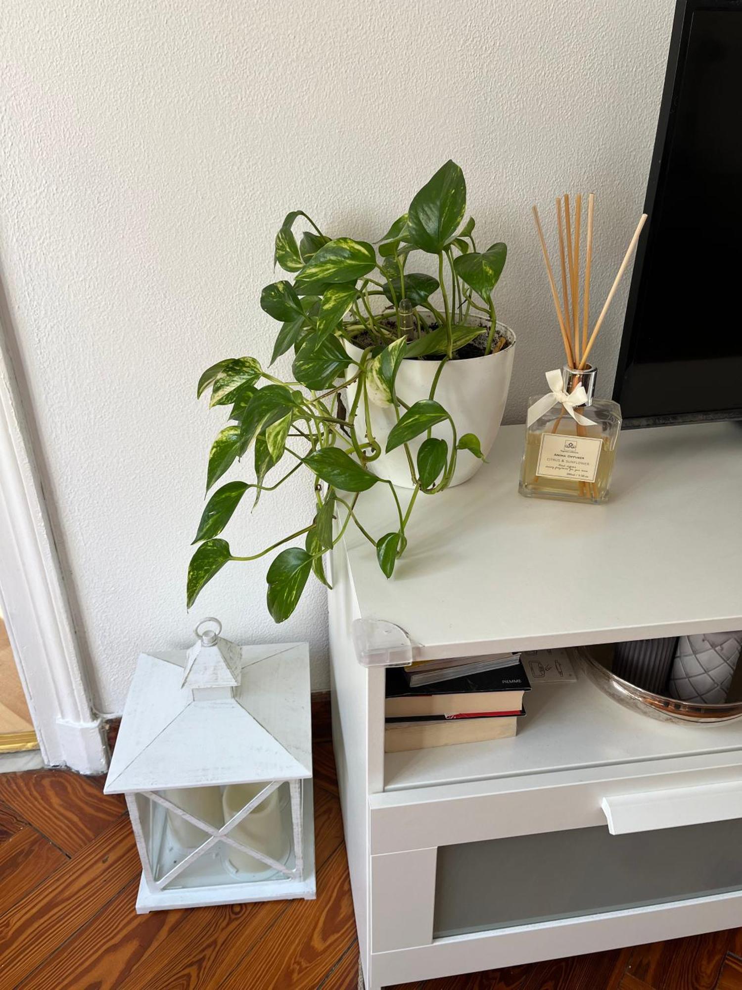Apartament In Piazzetta A Nervi Genua Zewnętrze zdjęcie